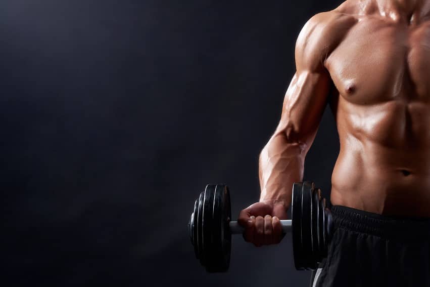 Las claves del crecimiento de la masa muscular