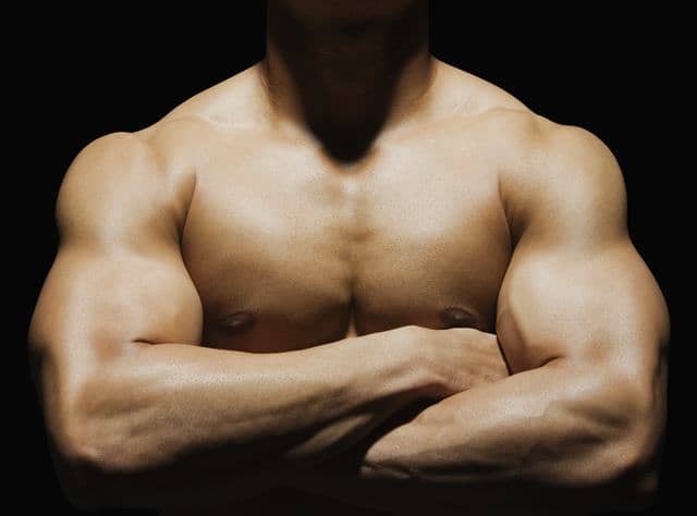 ALIMENTOS PARA AUMENTAR EL VOLUMEN MUSCULAR